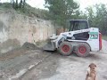 Bobcat Bobcat