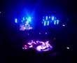 TCT noel gallagher and paul wellar - All you need is love