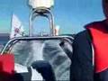 Devon Powerboating