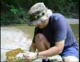 Perch fishing