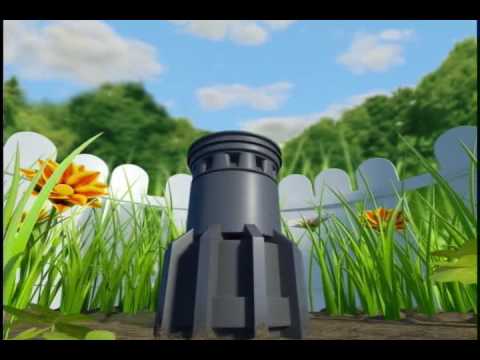 Imagen de previsualización de YouTube
