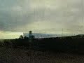 Forest Fire