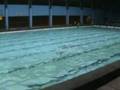videos de Whimpee Marikina Division Meet 200mtr Breast Stroke 3:18secs GOLD