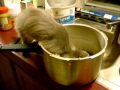 Furby and the pot.AVI