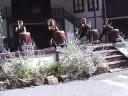 Fushu Daiko - Tsunami Fushu Daiko - Tsunami