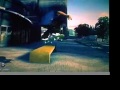Eric Koston fully flared SKATE