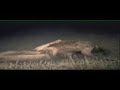 Compilation: 6 Hyena\ Compilation: 6 Hyena\
