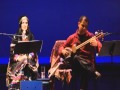 Shahin Fayaz شاهین فیاض: تار