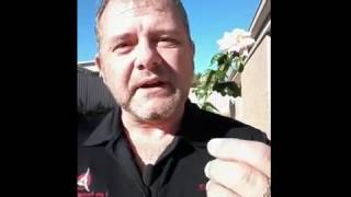 Tips for dealing with your Teenager