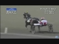 Somebeachsomewhere some horse - summary of his racing career