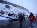 Garra Blanca en el Paso Fronterizo Los Libertadores