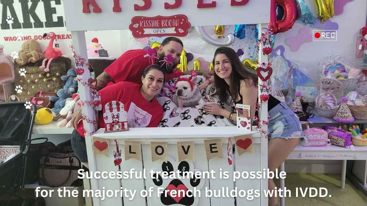 A visit to Claudia's Bakery in Delray Beach for the A&E IVDD French Bull Dog Rescue Fund Raiser.