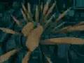NARUTO Garra verus Daedra (Are you dead yet)
