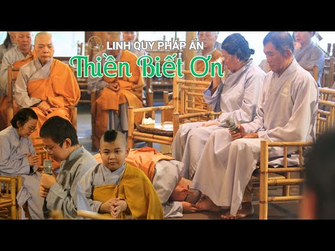 NIKAYA - Thiền Biết Ơn (12.8.2025)