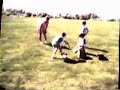 Raising Ducklings in Minnesota, 1983