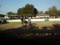 Rancho La Caridad Compite en Rancho Los Jimenez 01-01-2009