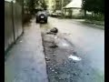 mort in balta