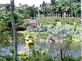 Southeast Botanical Gardens in OKINANAWA