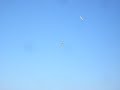 Toons   rc glider