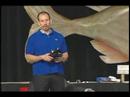 See direct marketing expert Joe Polish