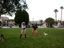 Park Dance :]