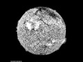 2010 August 1 SDO/AIA 304-Angstrom view of X-ray flare and filament eruption