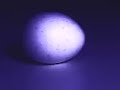 The Avant-Garde Egg