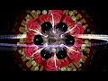 elevator suite - the wheel
