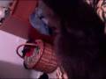 videos de Shadow!!!