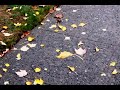 Autumn Waltz