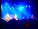 stray cats live madrid