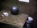 Hutchinson Effect