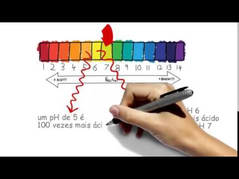 Dieta Alcalina   pH balanceado ( Mundo Alcalino )