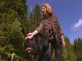 Labrador Retriever Training