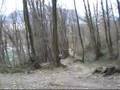 Frange Verte & piste - MTB - VTT a Grenoble