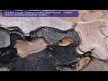 Napa High Waterslide Accident 1997