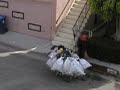 Bum in the alley pilfering from the city recycle bin Bum in the alley pilfering from the city recycle bin
