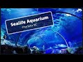 Sea Life Charlotte Concord Aquarium Reviews