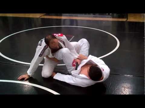 how to be a black belt in jiu jitsu