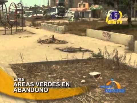 Ver video