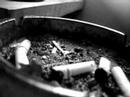 alcohol & nicotine