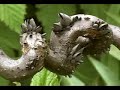 Sixes Last - Amazingly realistic CGi