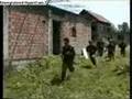 Bosnian Army #2