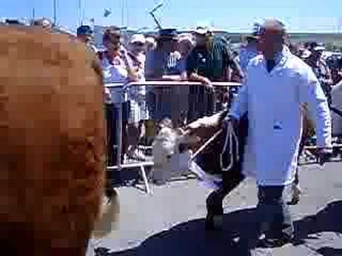 Royal Cornwall Show,  June 2006 ...