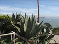 San Francisco - The Eerie Beauty of Alcatraz Island