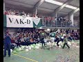 VAK-D