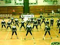 Pantherettes