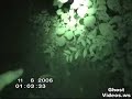 Rate and Comment - Demon caught on tape in the forest