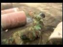 paintball arica