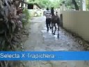 Hijos de Centurion de Selecta